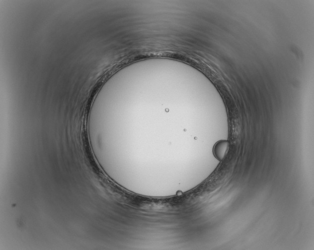 X0000113020503200908271037