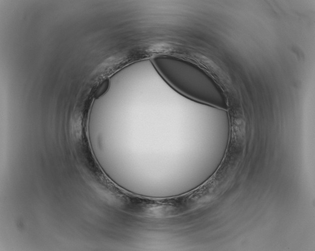 X0000113020504200908271037