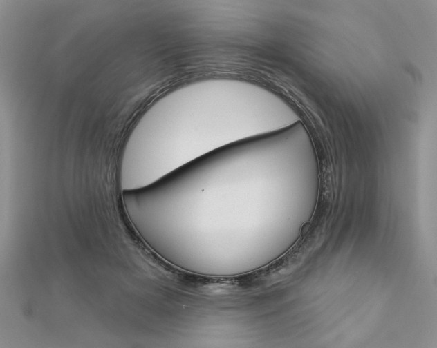 X0000113020505200908271037