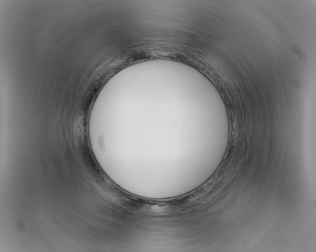 X0000113020506200908271037