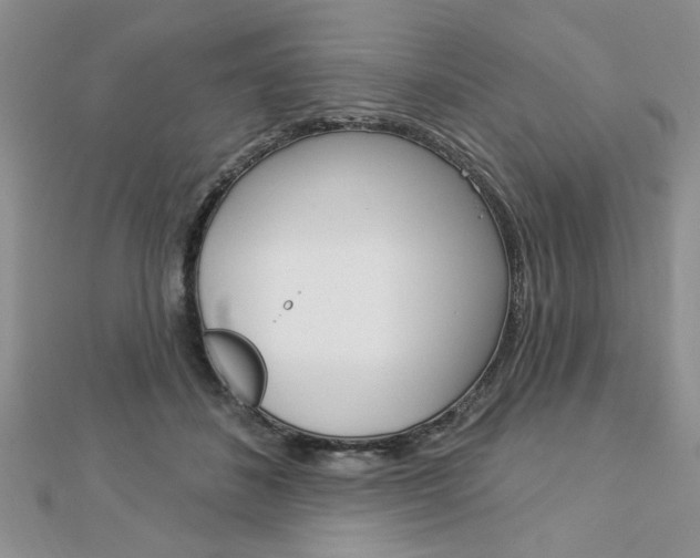 X0000113020508200908271037