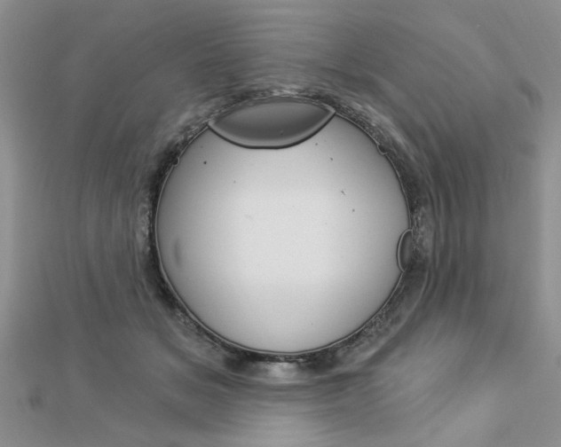 X0000113020509200908271037