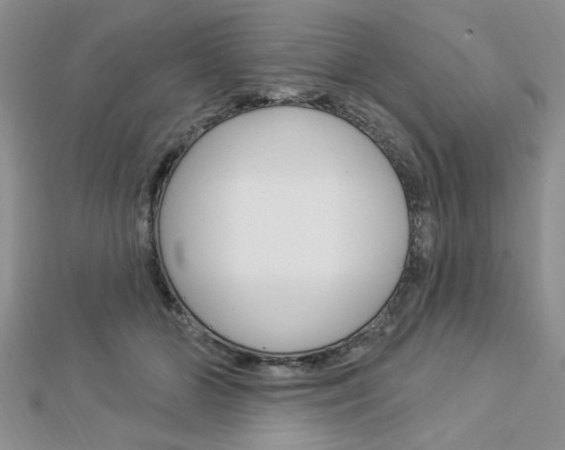 X0000113020510200908271037