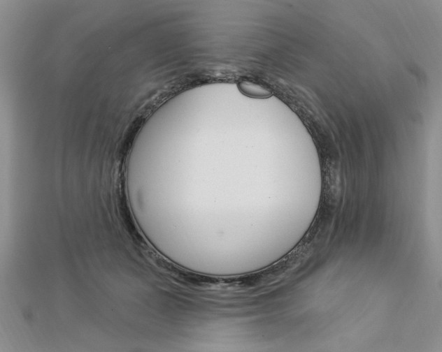 X0000113020511200908271036