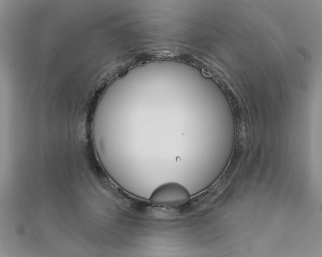 X0000113020512200908271036