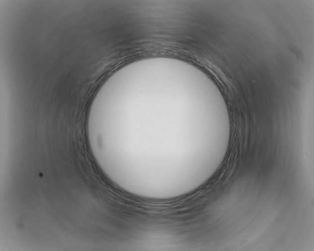 X0000113020513200908271036