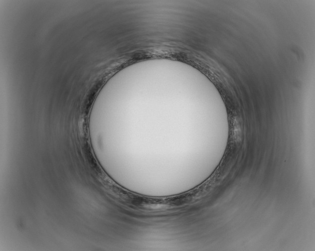 X0000113020514200908271036
