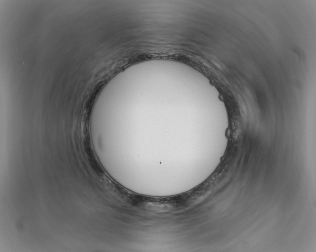 X0000113020515200908271036