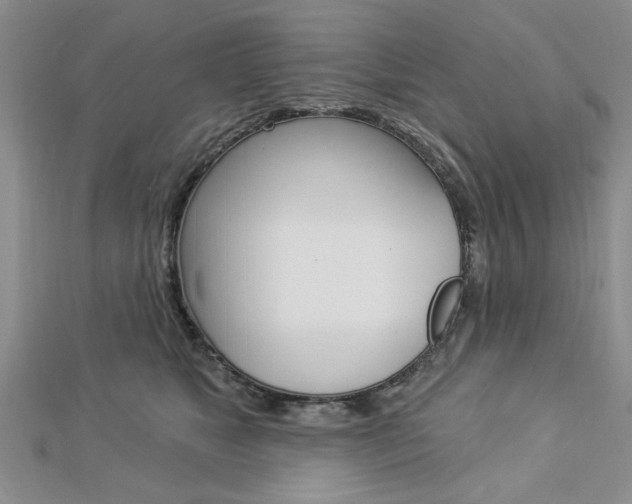 X0000113020517200908271036