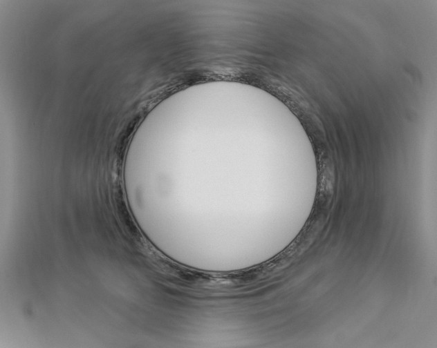 X0000113020518200908271036