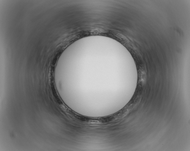X0000113020519200908271036