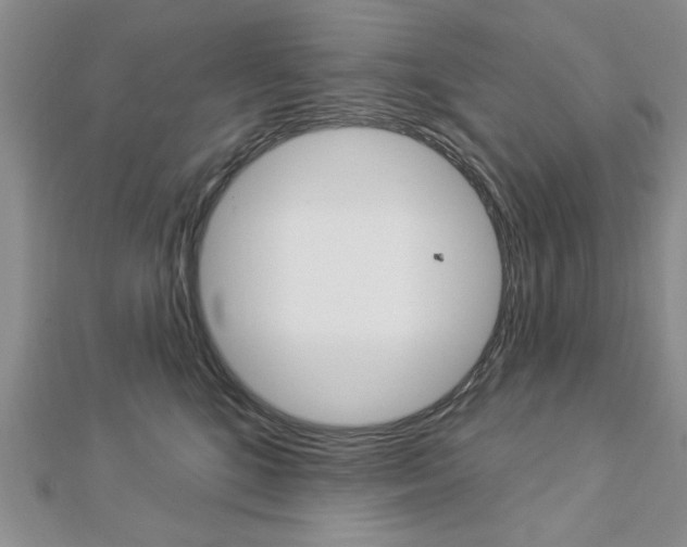 X0000113020520200908271036