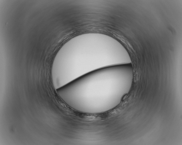 X0000113020521200908271036