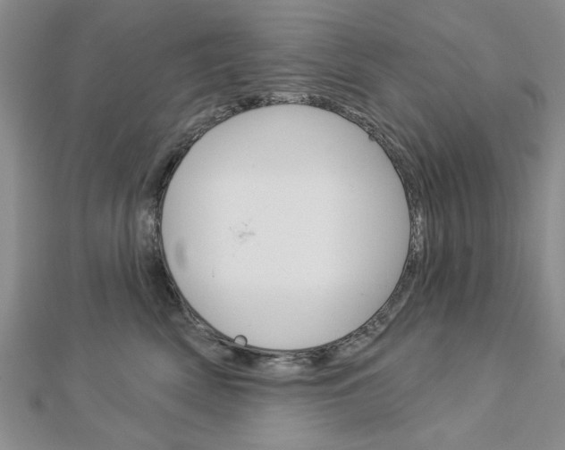 X0000113020522200908271036