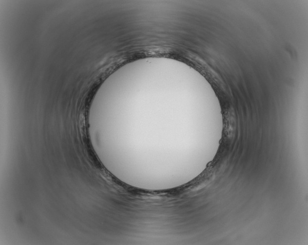 X0000113020523200908271036