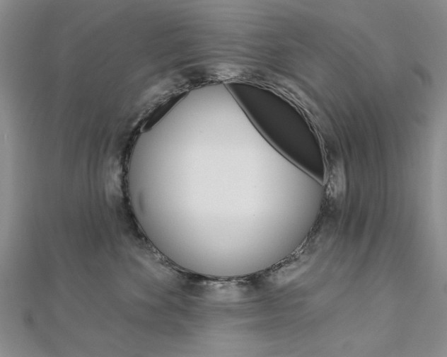 X0000113020524200908271036