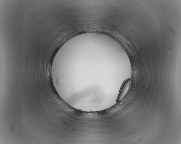 X0000113020525200908271036
