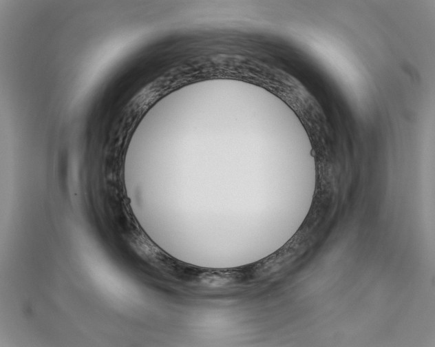 X0000113020526200908271036
