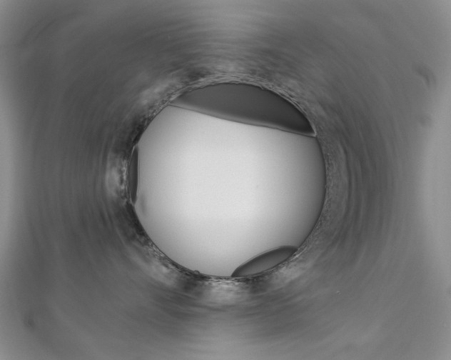 X0000113020528200908271036