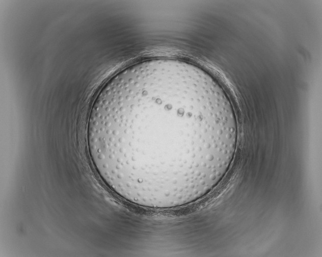X0000113020529200908271036
