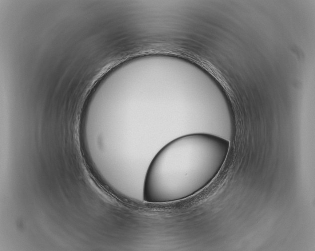 X0000113020530200908271036