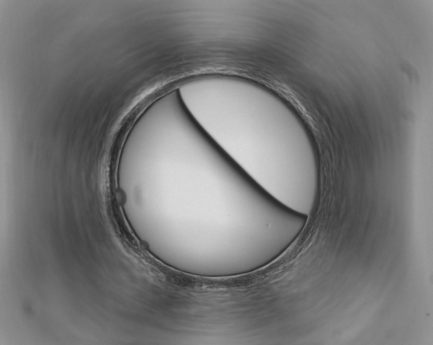 X0000113020531200908271036