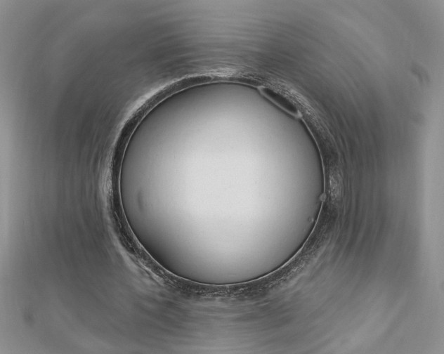 X0000113020532200908271036