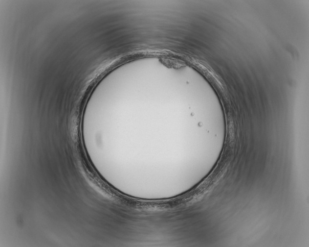 X0000113020533200908271036