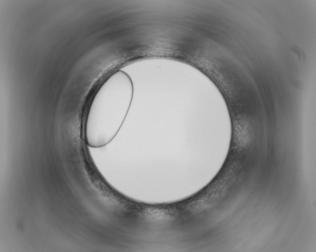 X0000113020534200908271036