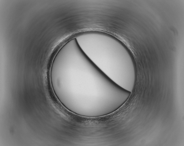 X0000113020535200908271036