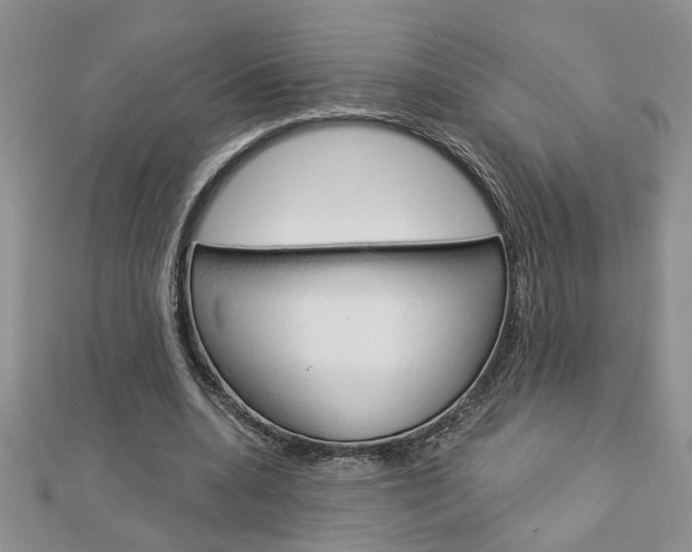 X0000113020536200908271036