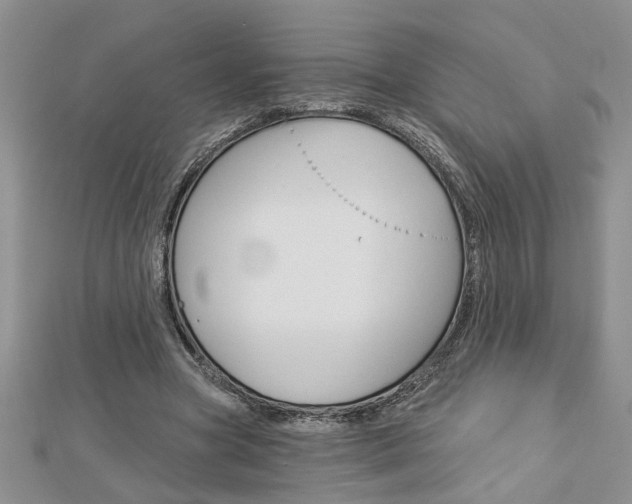 X0000113020537200908271036