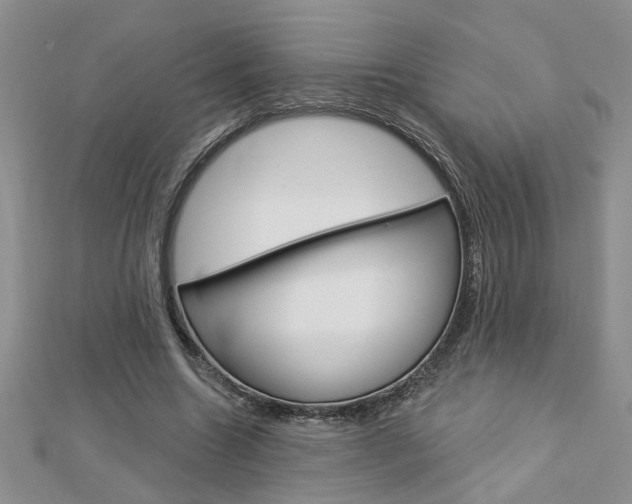 X0000113020538200908271036