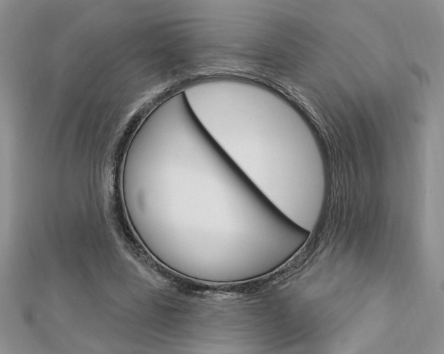 X0000113020539200908271036