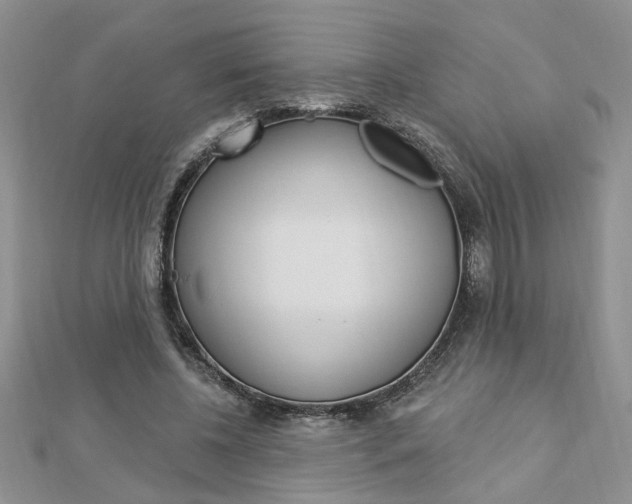 X0000113020540200908271036