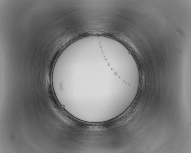 X0000113020541200908271036