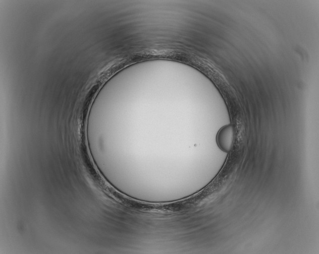 X0000113020542200908271036