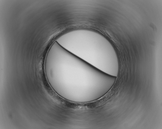 X0000113020543200908271036