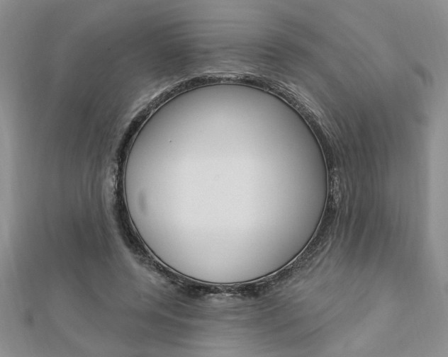 X0000113020544200908271036