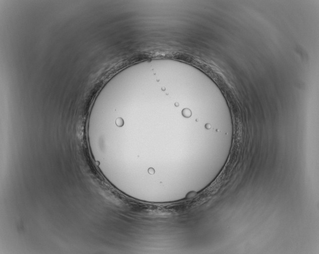 X0000113020545200908271036