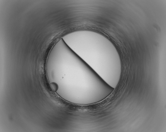 X0000113020547200908271036