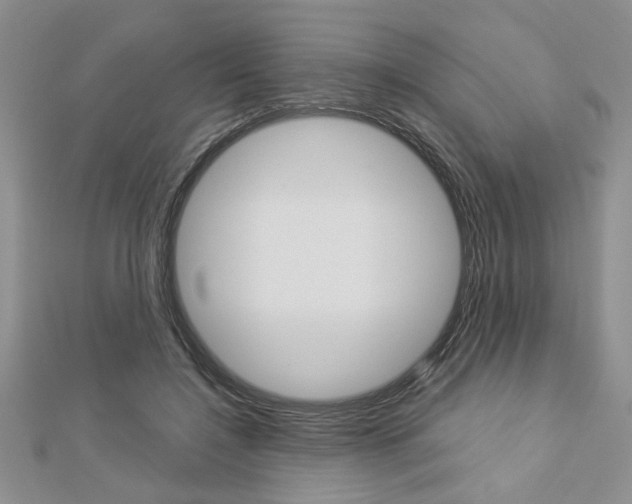 X0000113020548200908271036