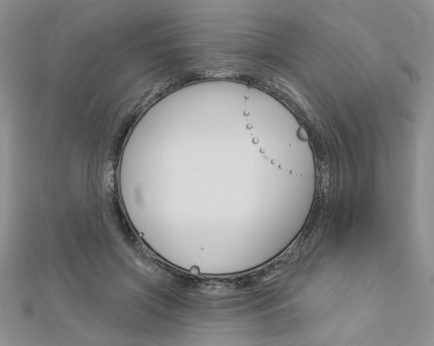 X0000113020549200908271036