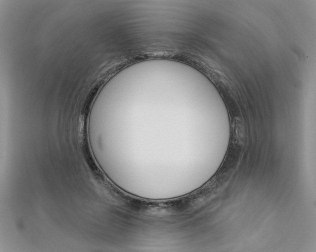 X0000113020550200908271036