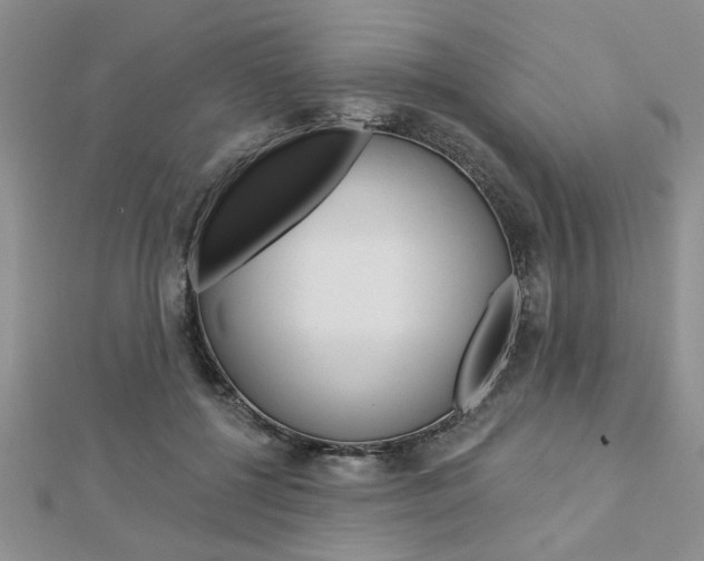X0000113020552200908271036