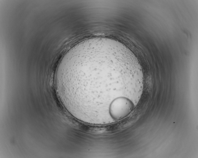 X0000113020554200908271036