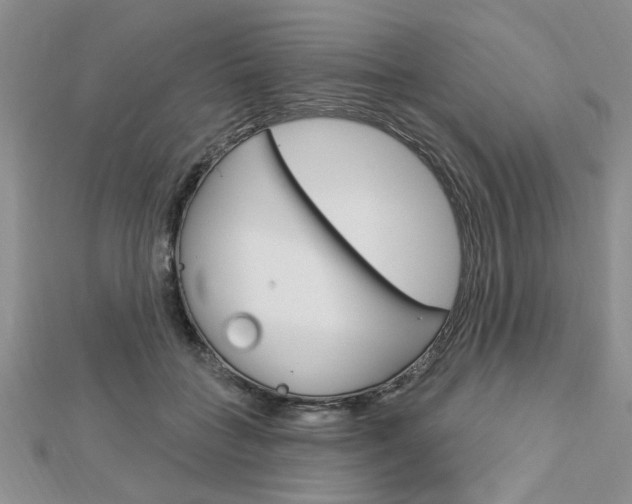 X0000113020555200908271036