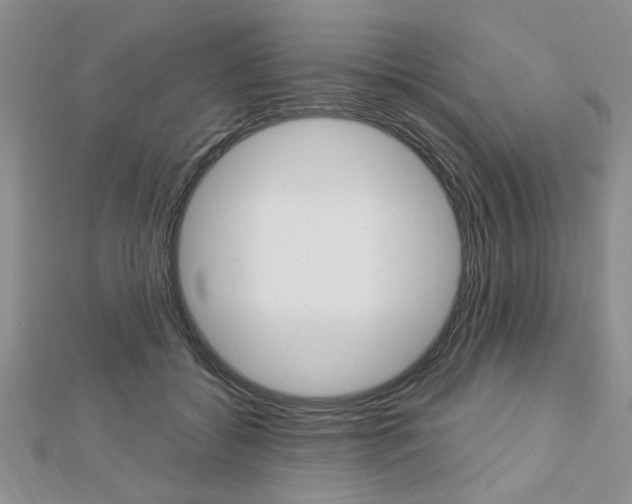 X0000113020556200908271036