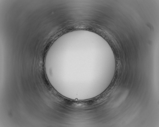 X0000113020557200908271036