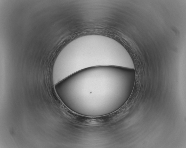 X0000113020558200908271036